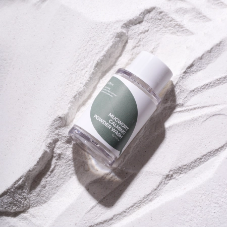 Isntree - Spot Saver - Mugwort Calming Powder Wash - Arctisztító Por - 15g