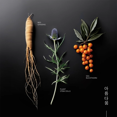 KORIKA - Korean Heritage Ginseng & Marine Stem Cells Cell Renew Eye Cream - Szemkrém - 15ml