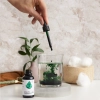 Aura Herbals - Fehér Eperfa Klorofill Koncentrátum - Cseppek - 30ml