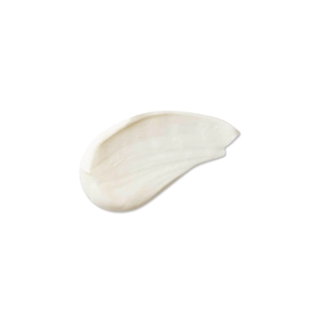Evolve Organic Beauty - Daily Renew Natural Face Cream - Tápláló Arckrém - 30ml
